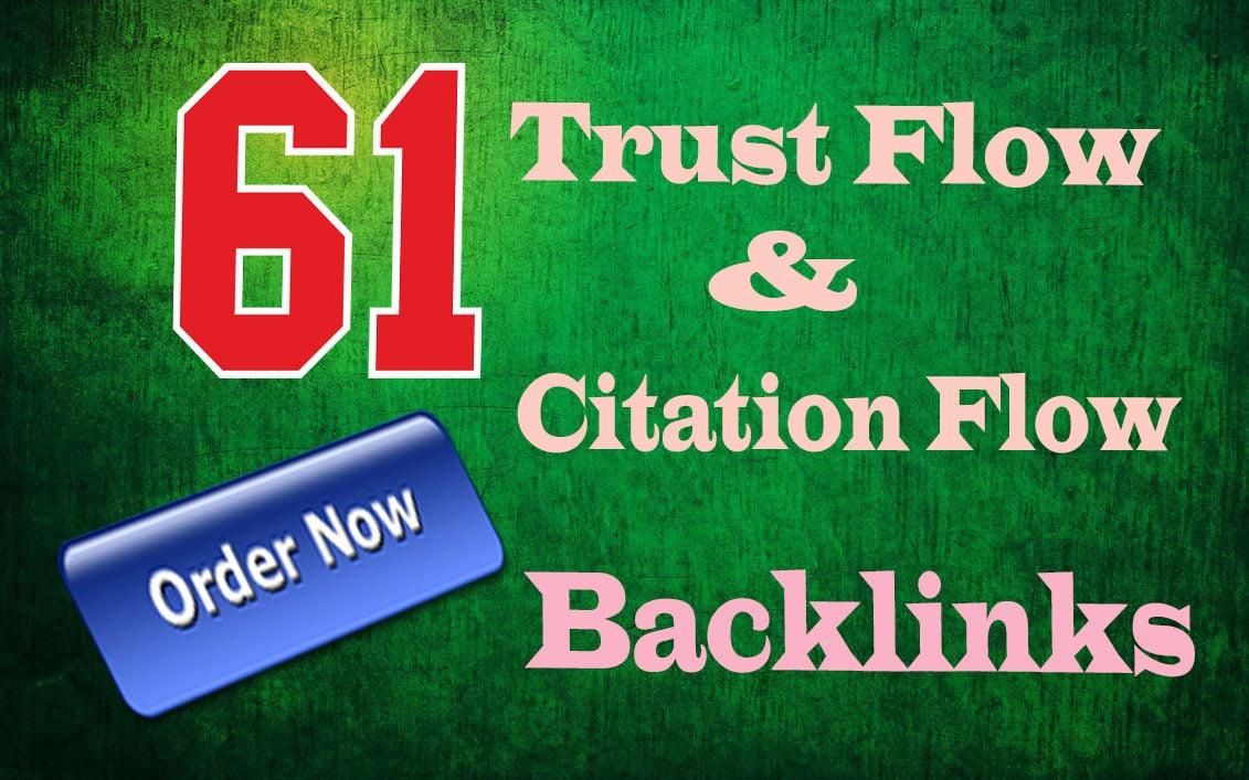 I will do 61 High Trust flow and Citation flow seo backlinks on Authority Sites