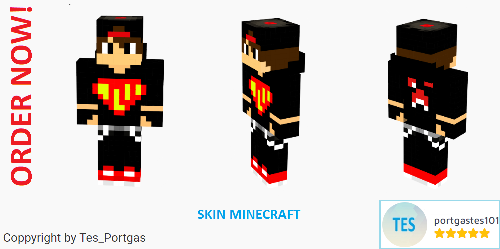I will make you a separate Skin Minecraft in sophisticated and modern style