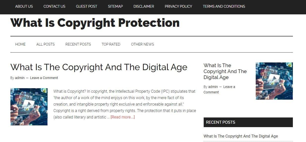 Build niche or micro niche website for adsense or amazon affiliate 