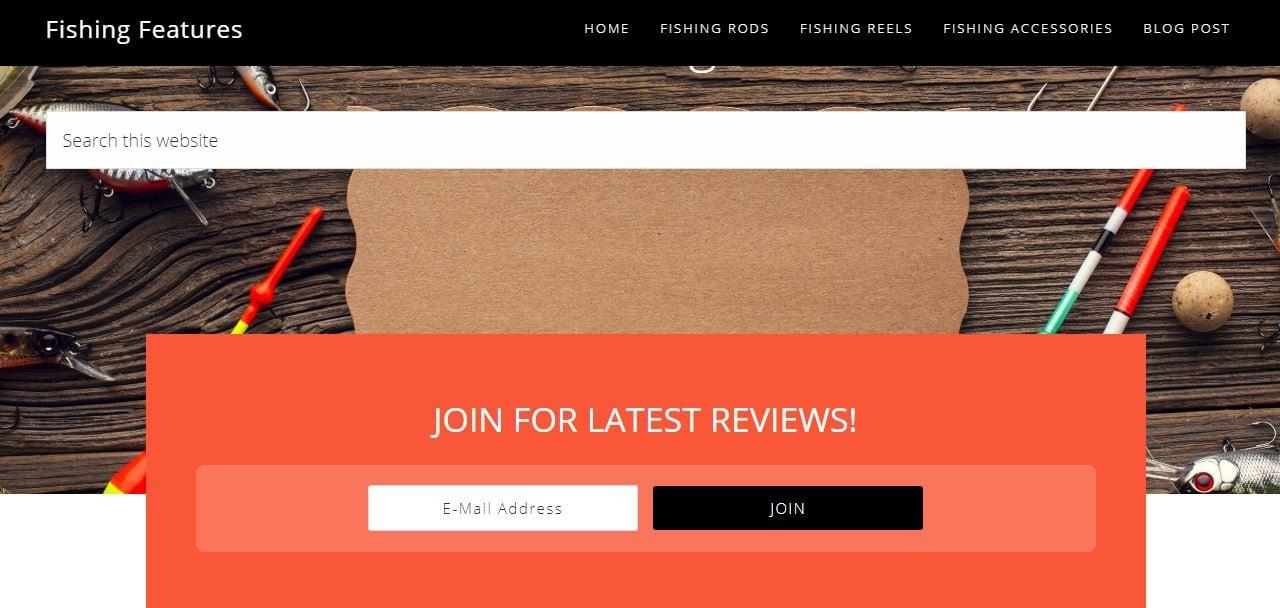 Build niche or micro niche website for adsense or amazon affiliate 