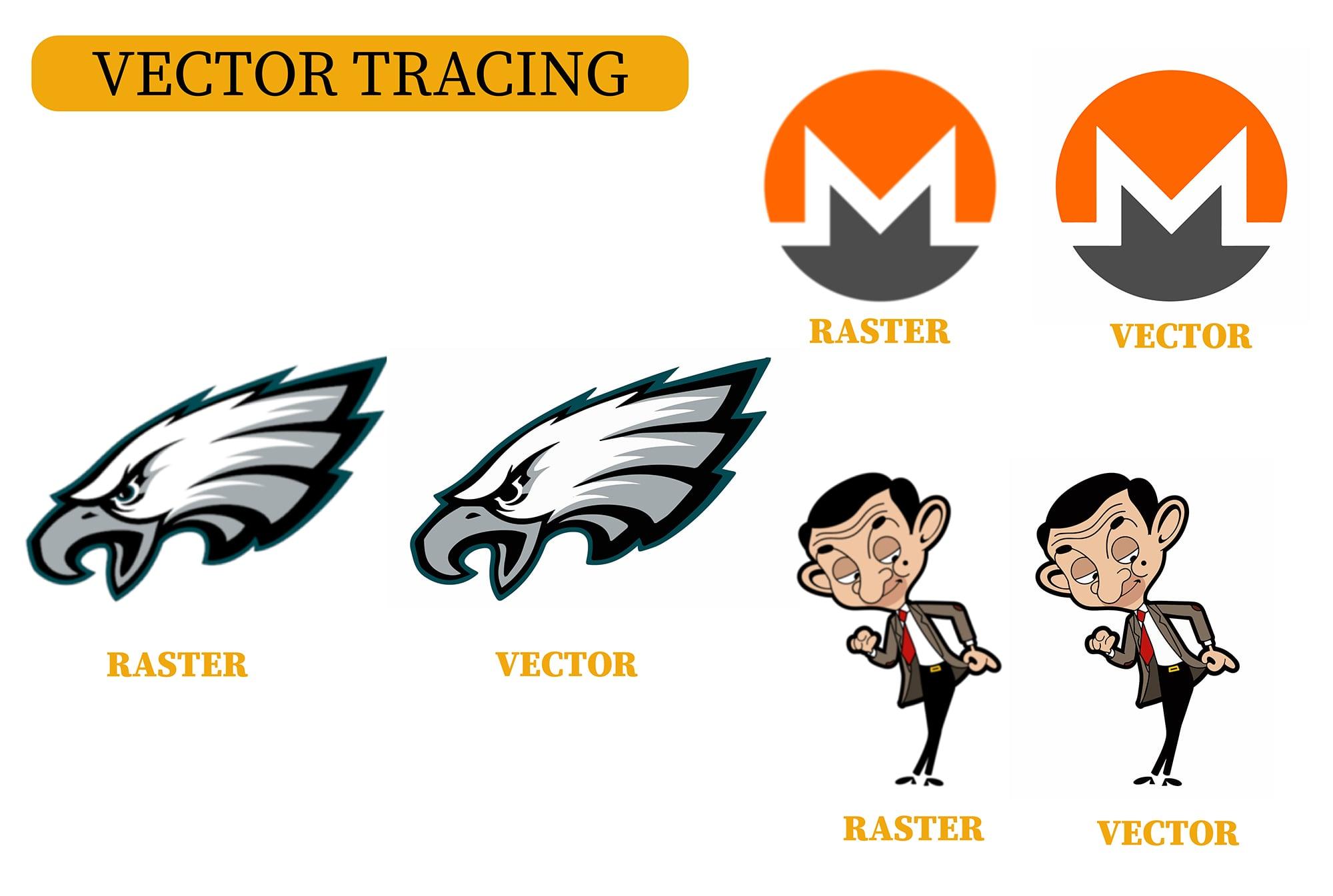 I will do vector tracing, redraw or convert to vector manually