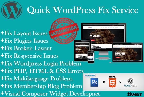 Fix Wordpress Issues and Wordpress Customization