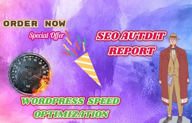  Do Wordpress Speed Optimization By Gtmetrix and provide current SEO Audit Report