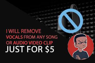 I will remove vocal , voice from your audio file or music