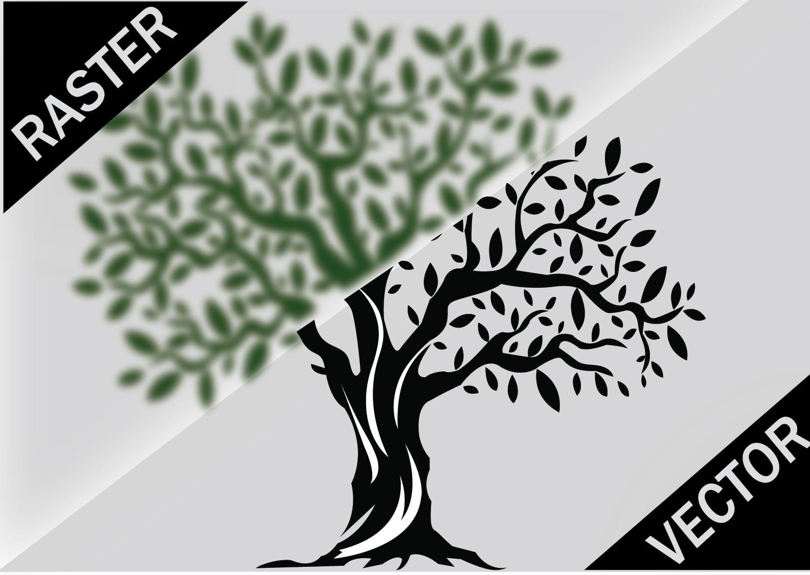 I will do vector a logo, image or anything in 12hr