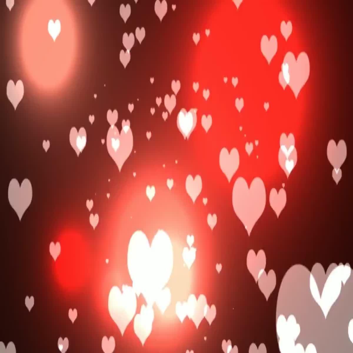  Album Photo Session 3D - 4D 3 Photo 30 Seconds+ intro Video Present ( Design 1 )