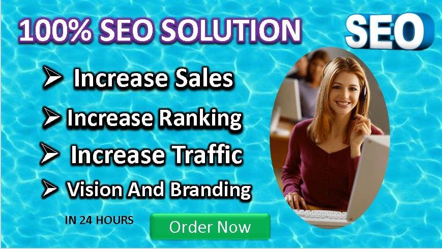 I will do SEO optimization for your WordPress website 