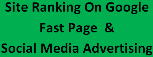 i will do on-page seo,off-page seo for google fast page