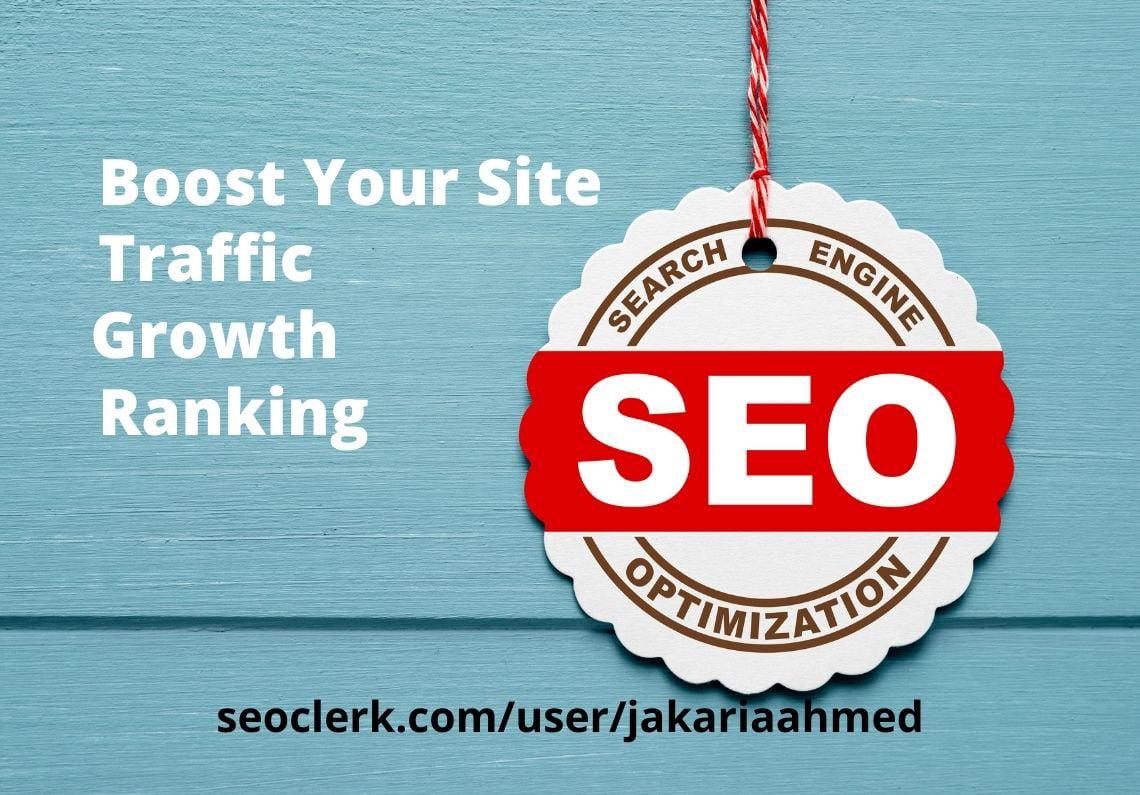 Manual and White Hat On page SEO and Technical SEO for your Website