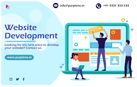 Professional website development 