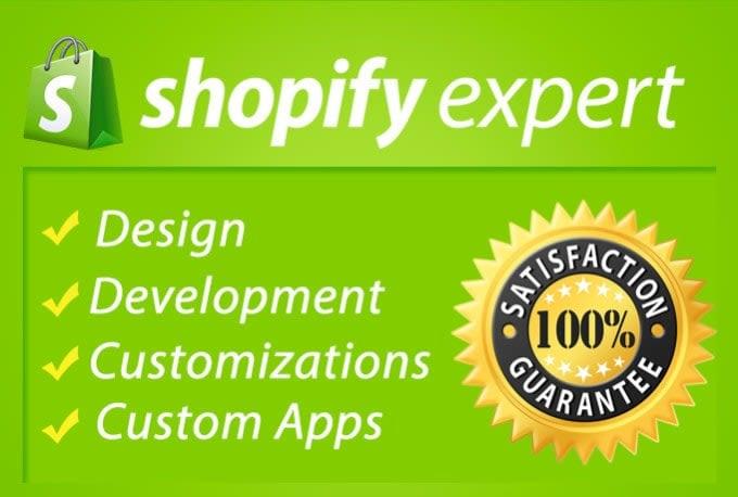 I will build and design your professional shopify store 