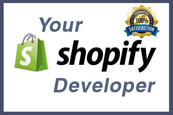 I will build and design your professional shopify store 