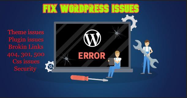 I will fix wordpress issues, error, css, bugs, security