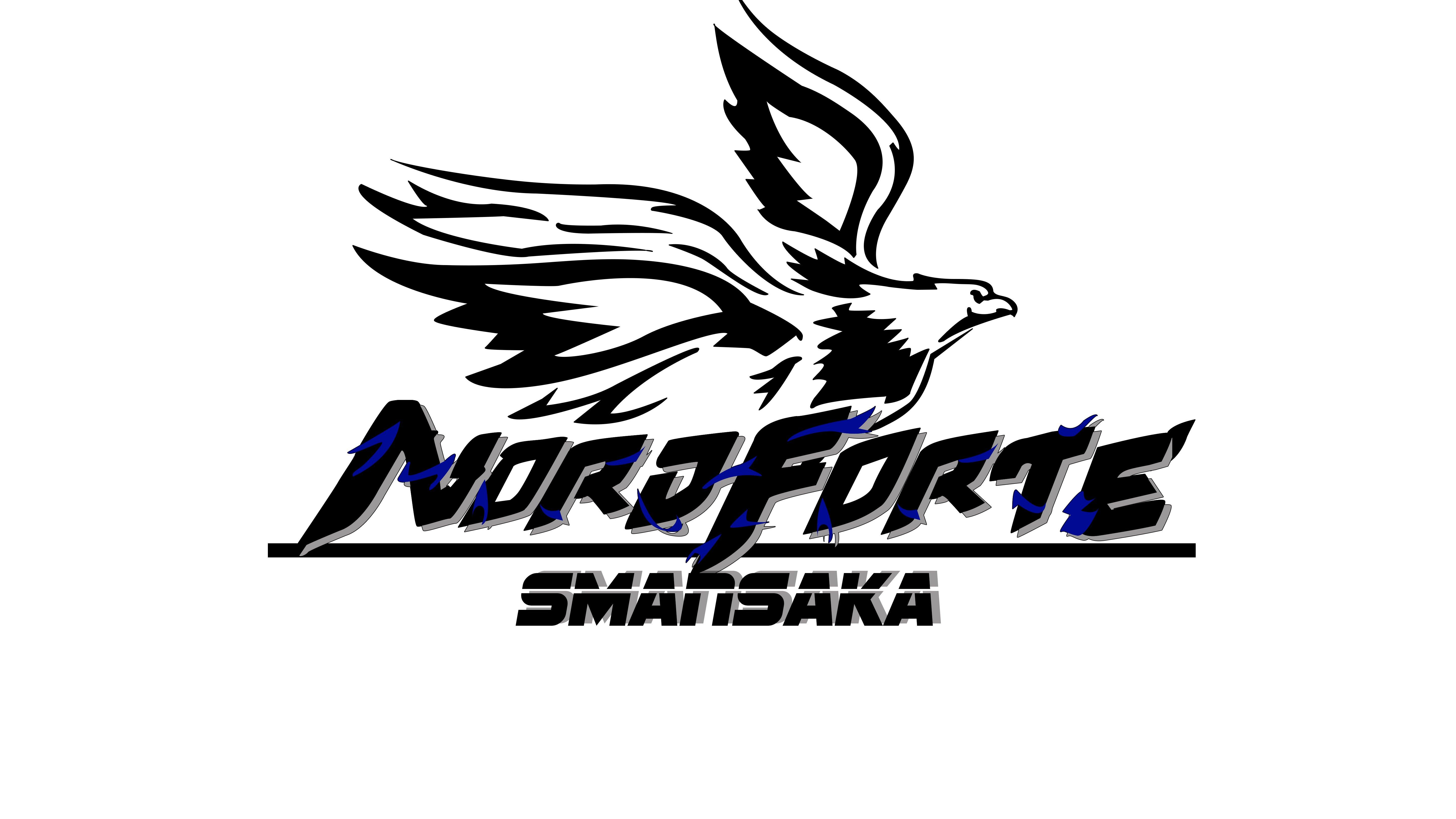  Logo Design with unlimited revisian if you are not satisfied