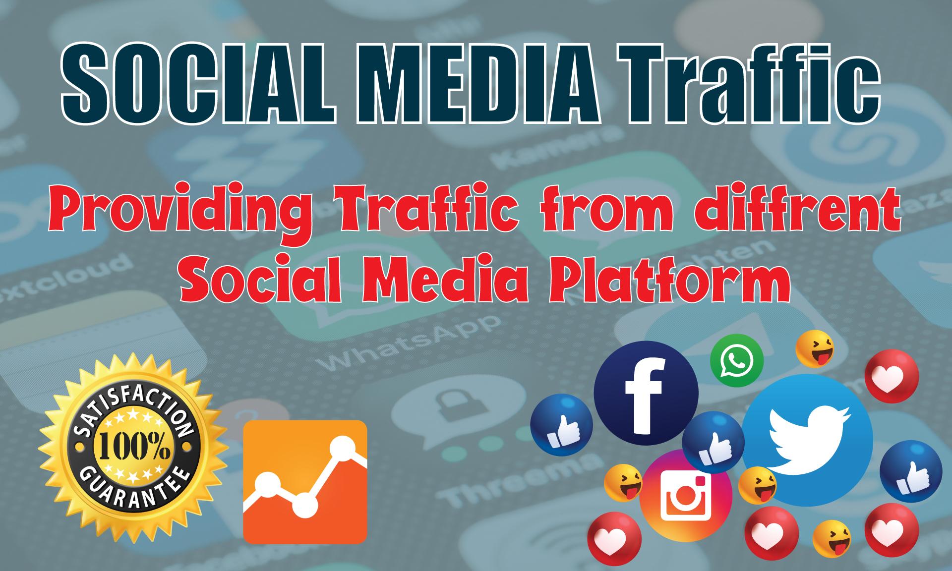 I will drive real human visitors targeted traffic