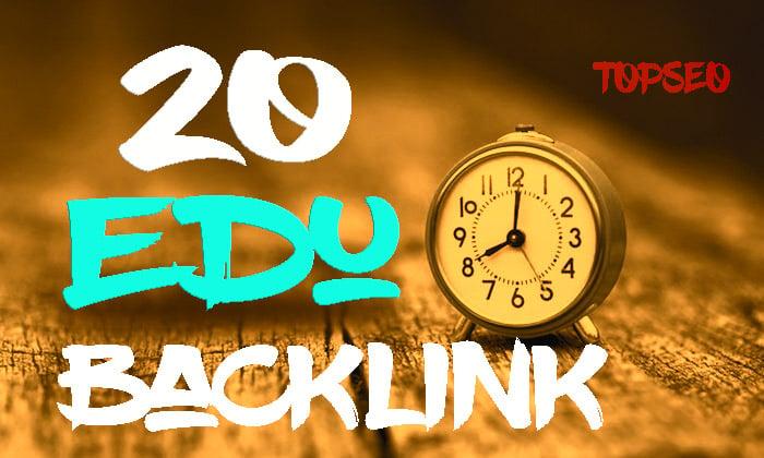 Unique 20 EDU Backlink From High Domain Authority Site