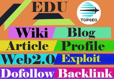 Mix SEO 50 edu 50 wiki 50 dofollow 50 profile 50 web2.0 50 article 50 blog 50 exploit 
