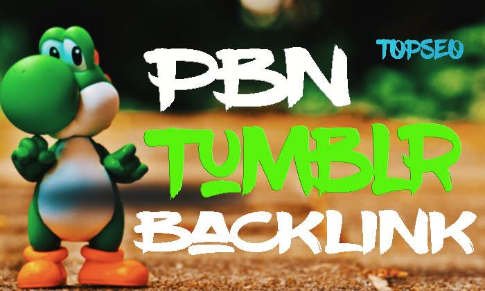 PBN Niche 35 tumblr bookmark backlink from DA30+ site