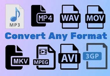 I will convert any audio or video file to mp3, mp4, wav, pdf to word,word to pdf, other file format