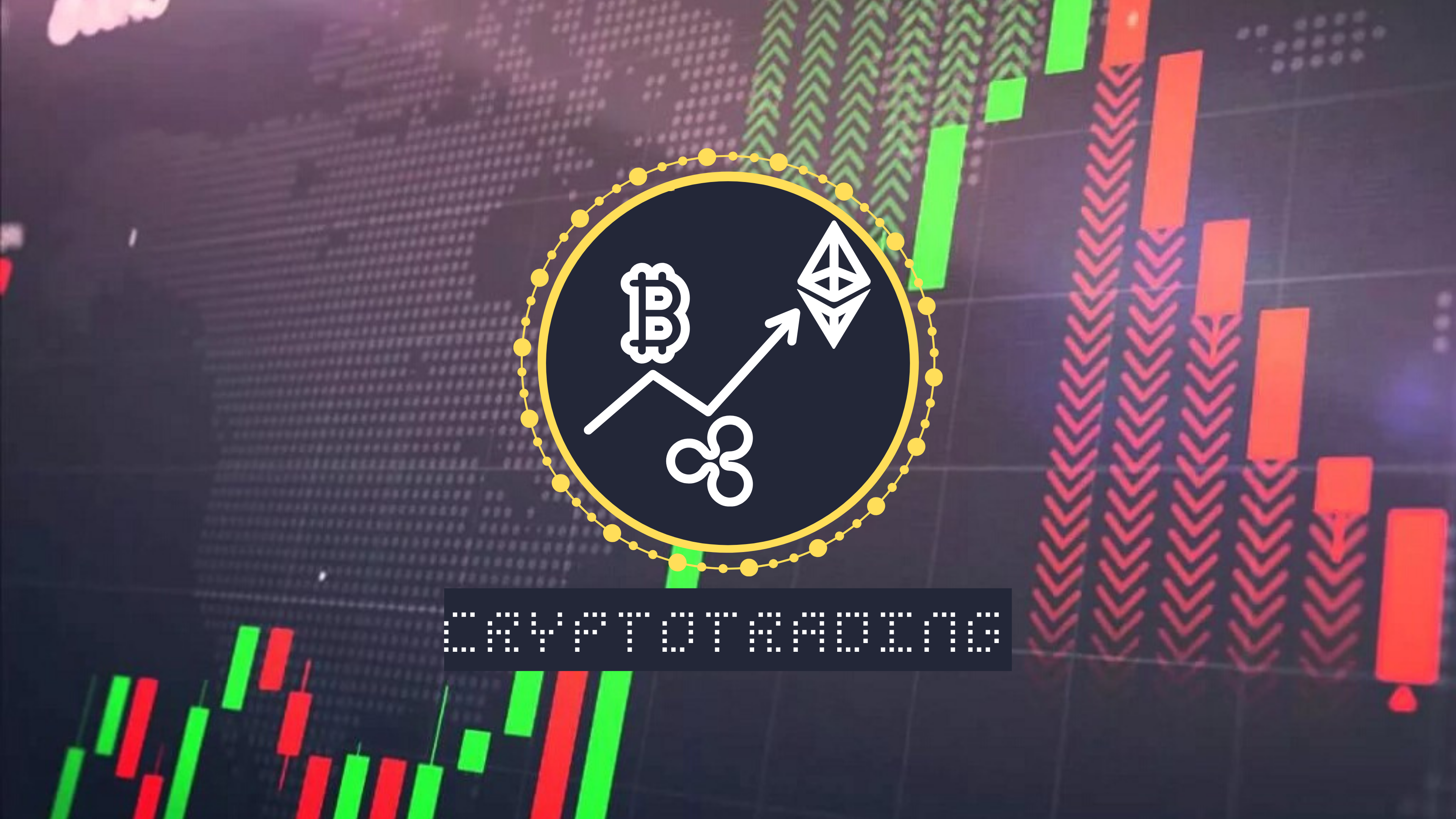 DmarketingPlus will help you create your new professional design.