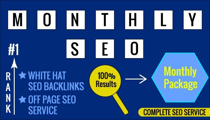 I will elevate your ranking, monthly SEO services for your website google top ranking