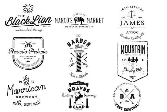 I will design gorgeous retro or vintage logo