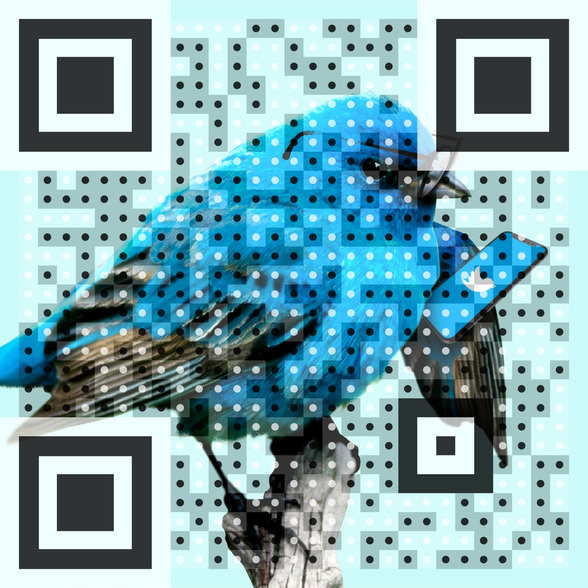 I will create eye catching colorful QR codes/BAR codes 