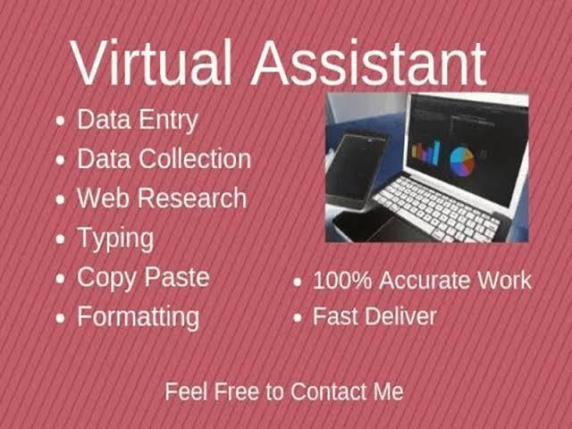 I will be your virtual assistant or personal assistant for data entry,copy paste work and any task