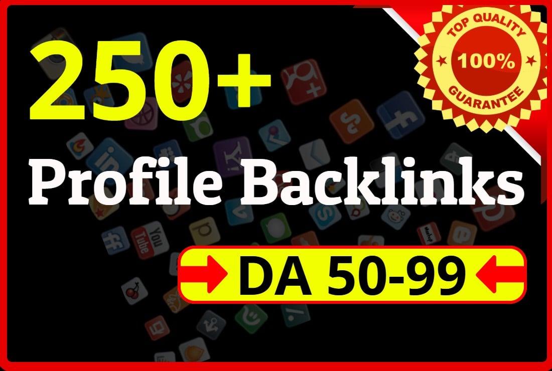 I will do 100+ HQ profile backlinks manually for website seo