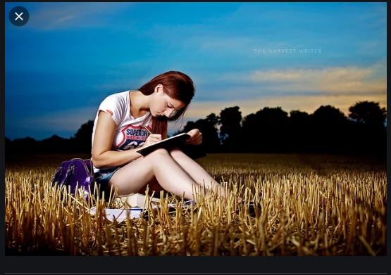 I will write history art pharmacology political science and criminal justice essays