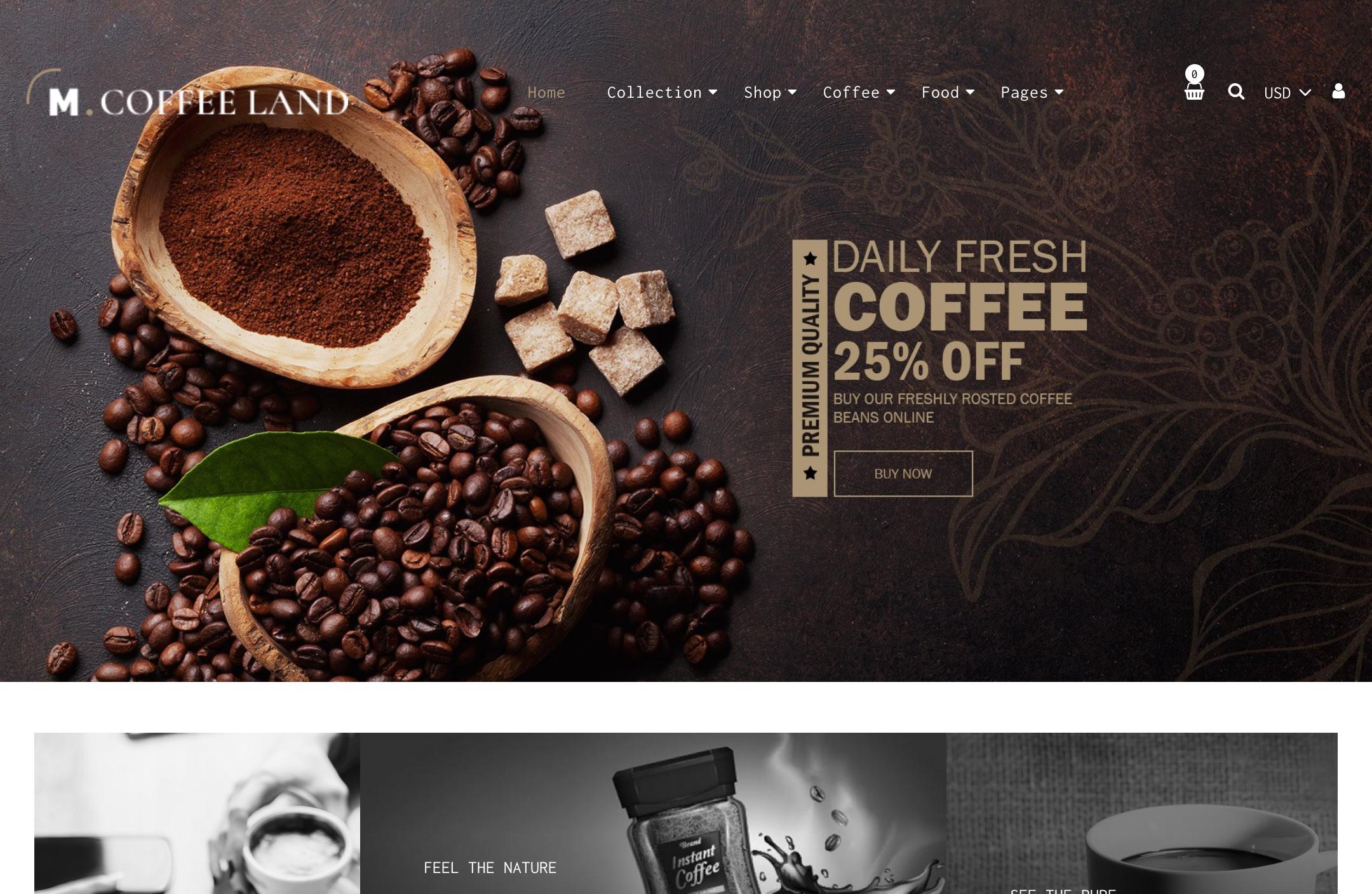 High Converting Full Shopify Store Development 