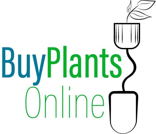 I will design logo for your brand