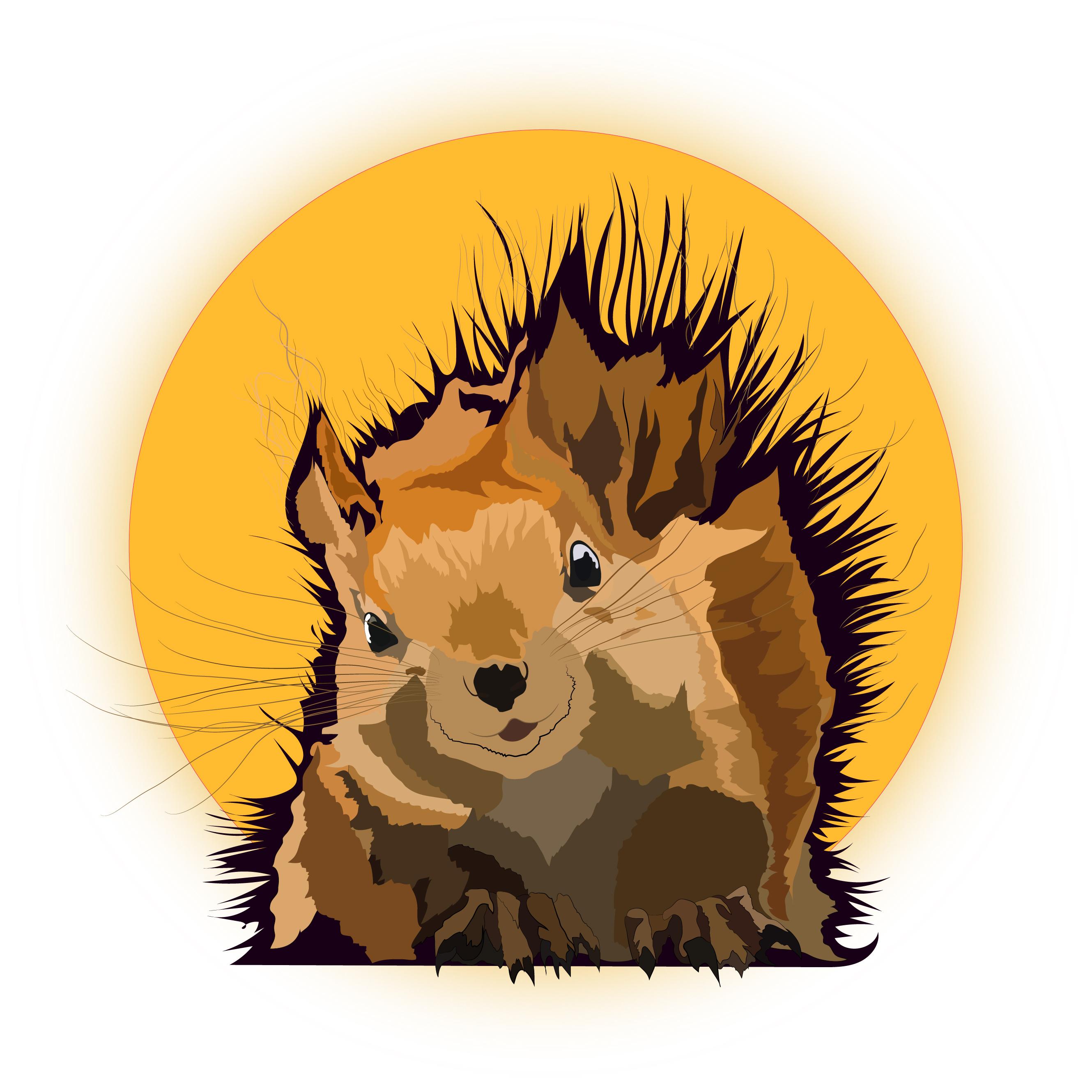 I will draw your pet illustration from a photo