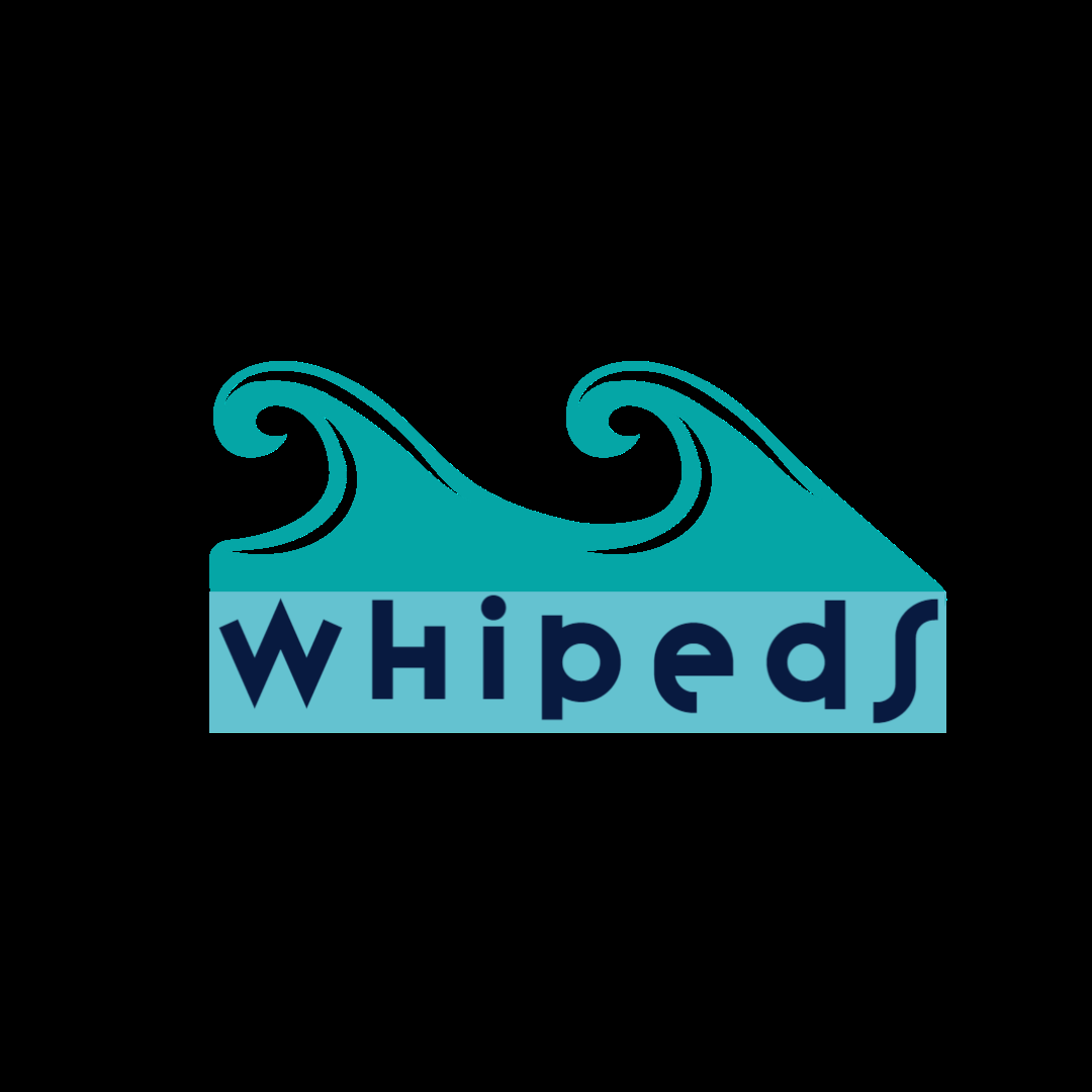 1 Professional and minimalist logos in 24h 