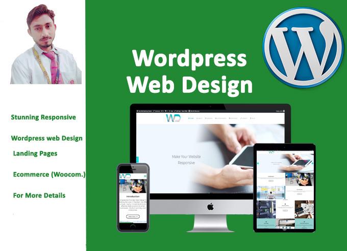 I Will Design , redesign and customize wordpress website 