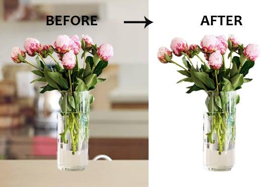 I will remove background 20 images profissionaly