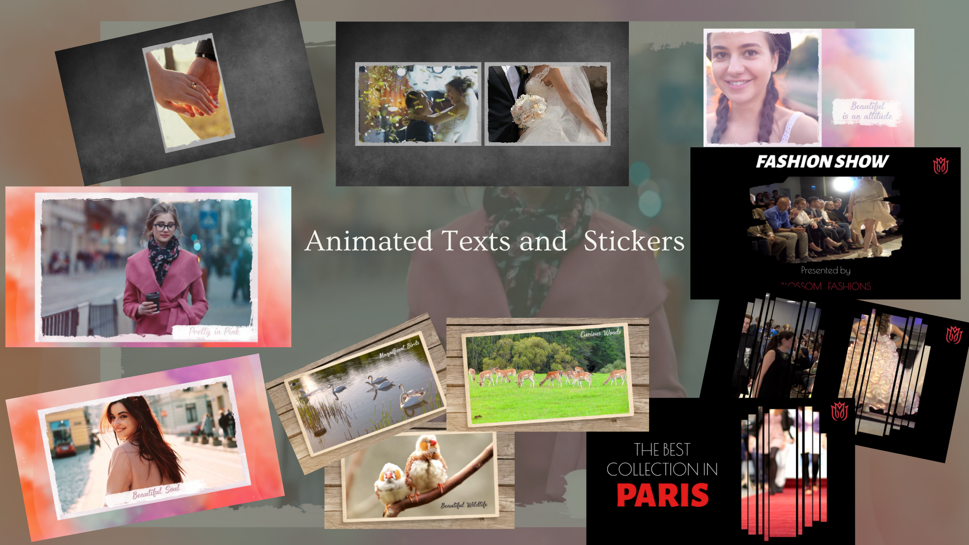 I will create elegant slideshow video with your pics and videos