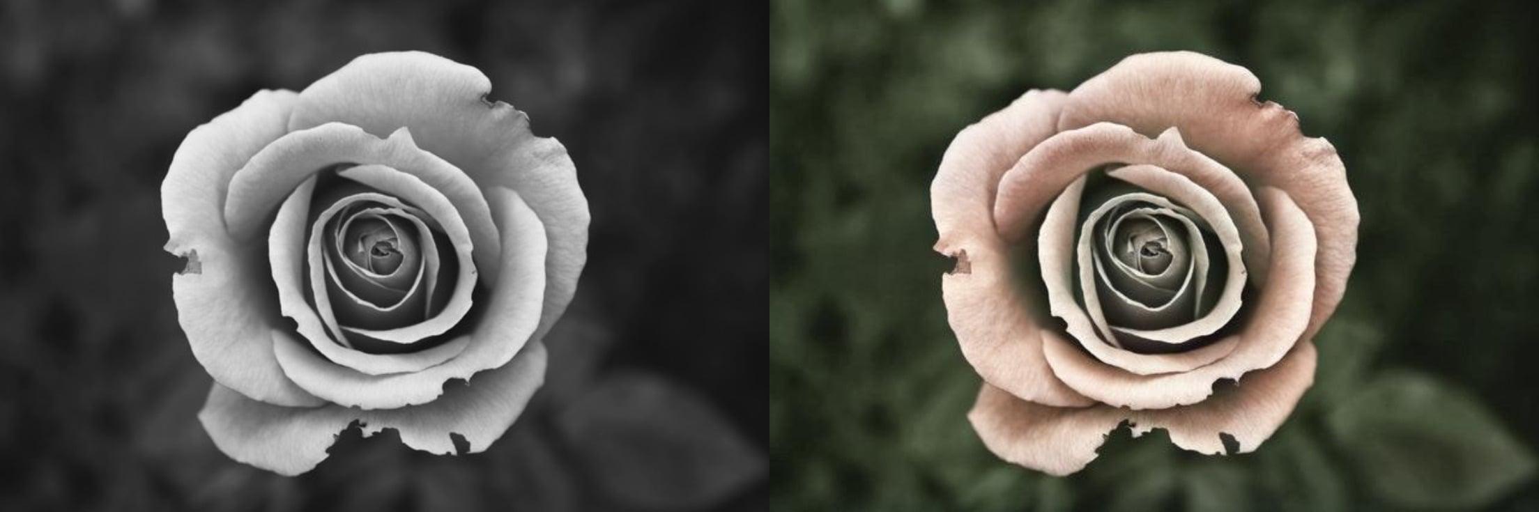 I will restore, fix old photos and colorize black and white photos