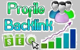 I Will Create 50 High Quality Profile Backlinks