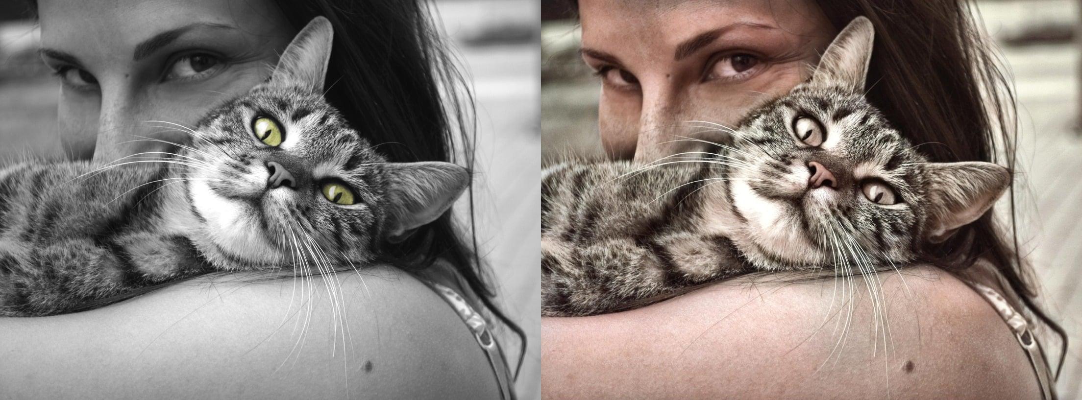 I Will Color Your Photos Professionally.