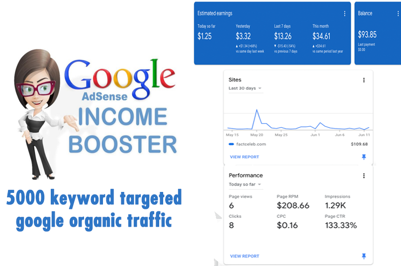 5000 keyword targeted google AdSense Real organic traffic