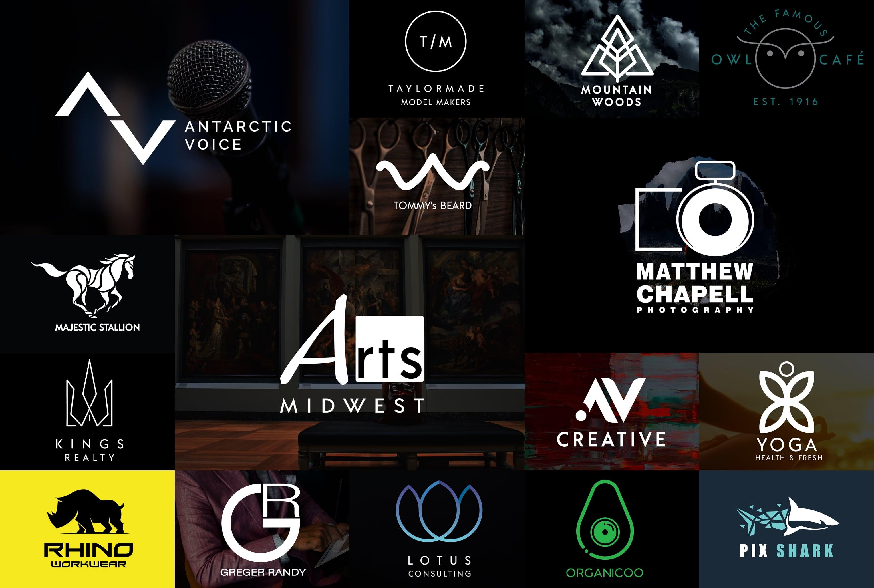 I will do modern business logo design