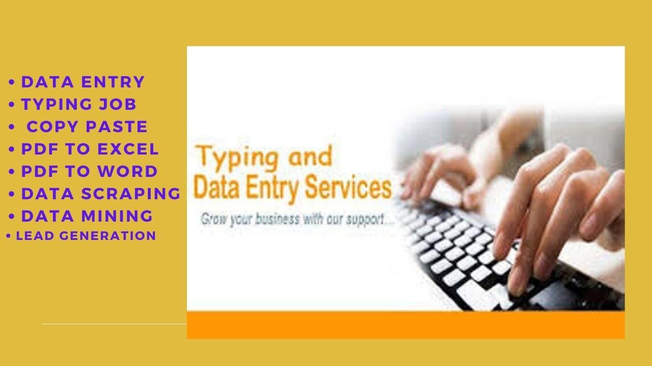 I will do cheapest excel data entry typing work, web research for you