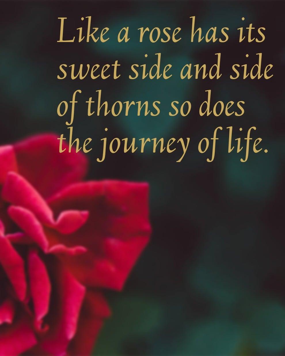 I will make you a great quote image or slogan for your brand