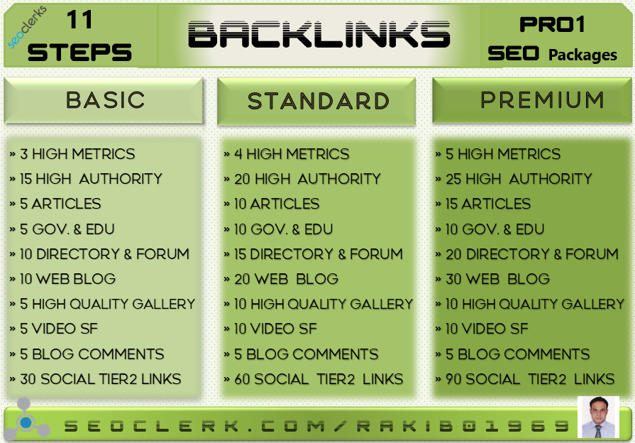 I will Perform Pro1 SEO Package and Explode Your Ranking