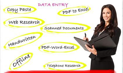 I will do fast and accurate data entry jobs as per your requirement