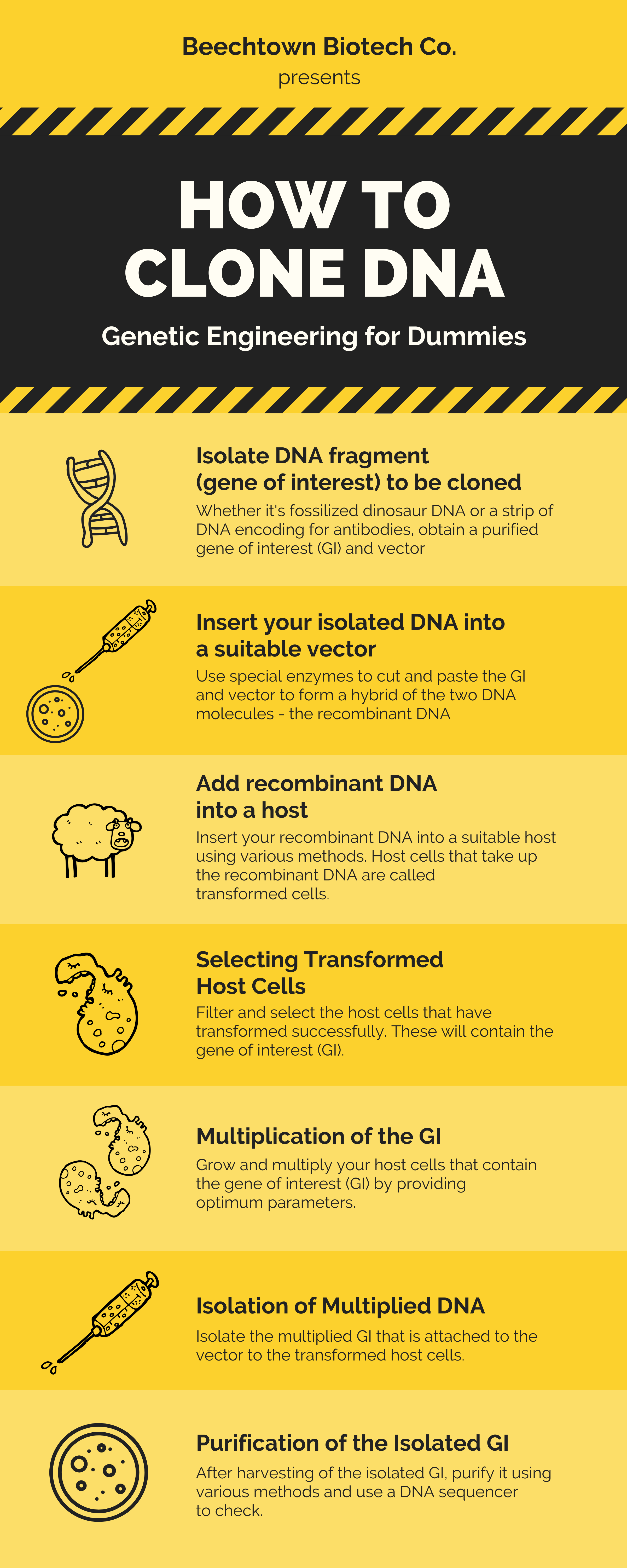 I will design professional and amazing infographics for you and your business