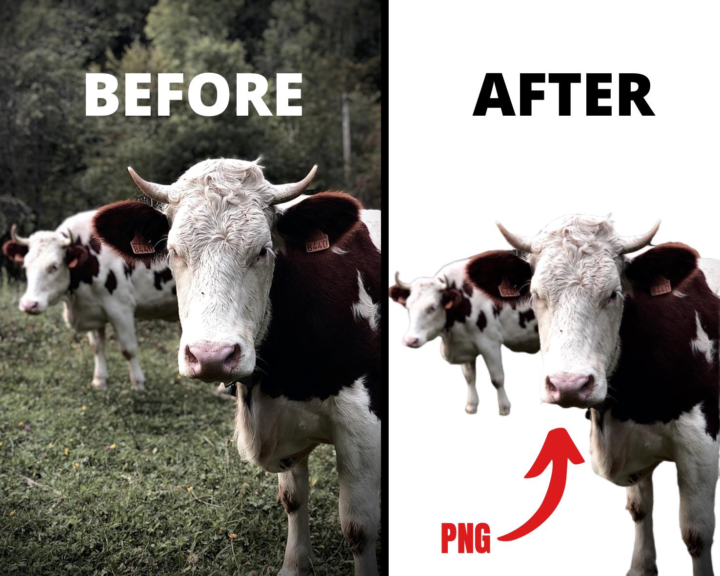 Photoshop editing / Remove or change background for 10 images professionally 