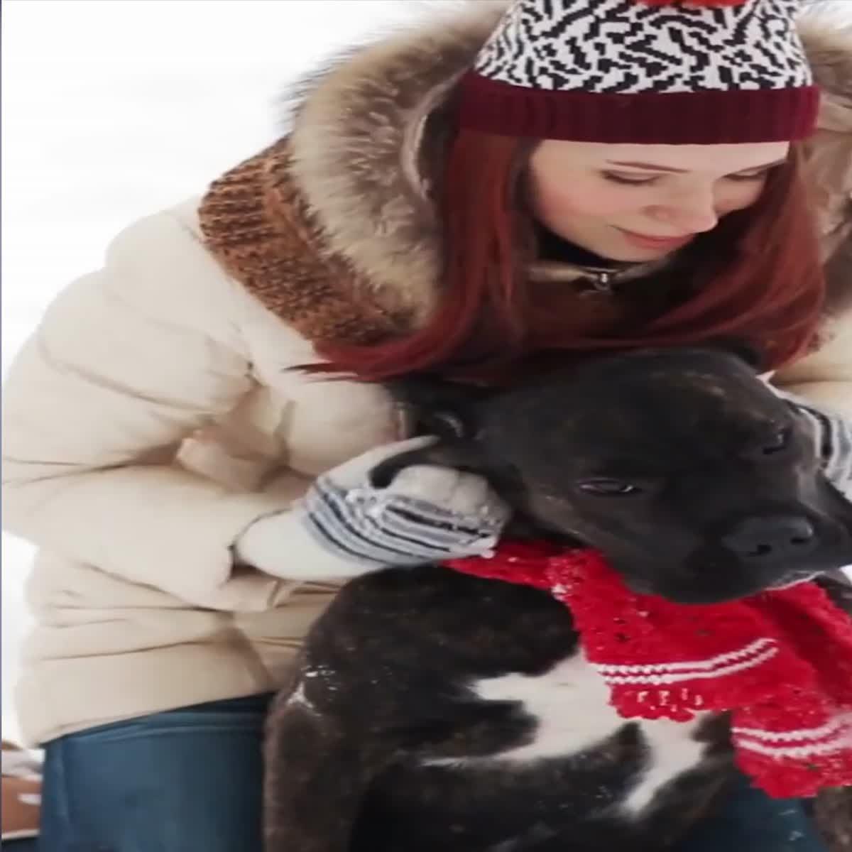 Bit size promo and animated posters, Banners for your business product & brand 