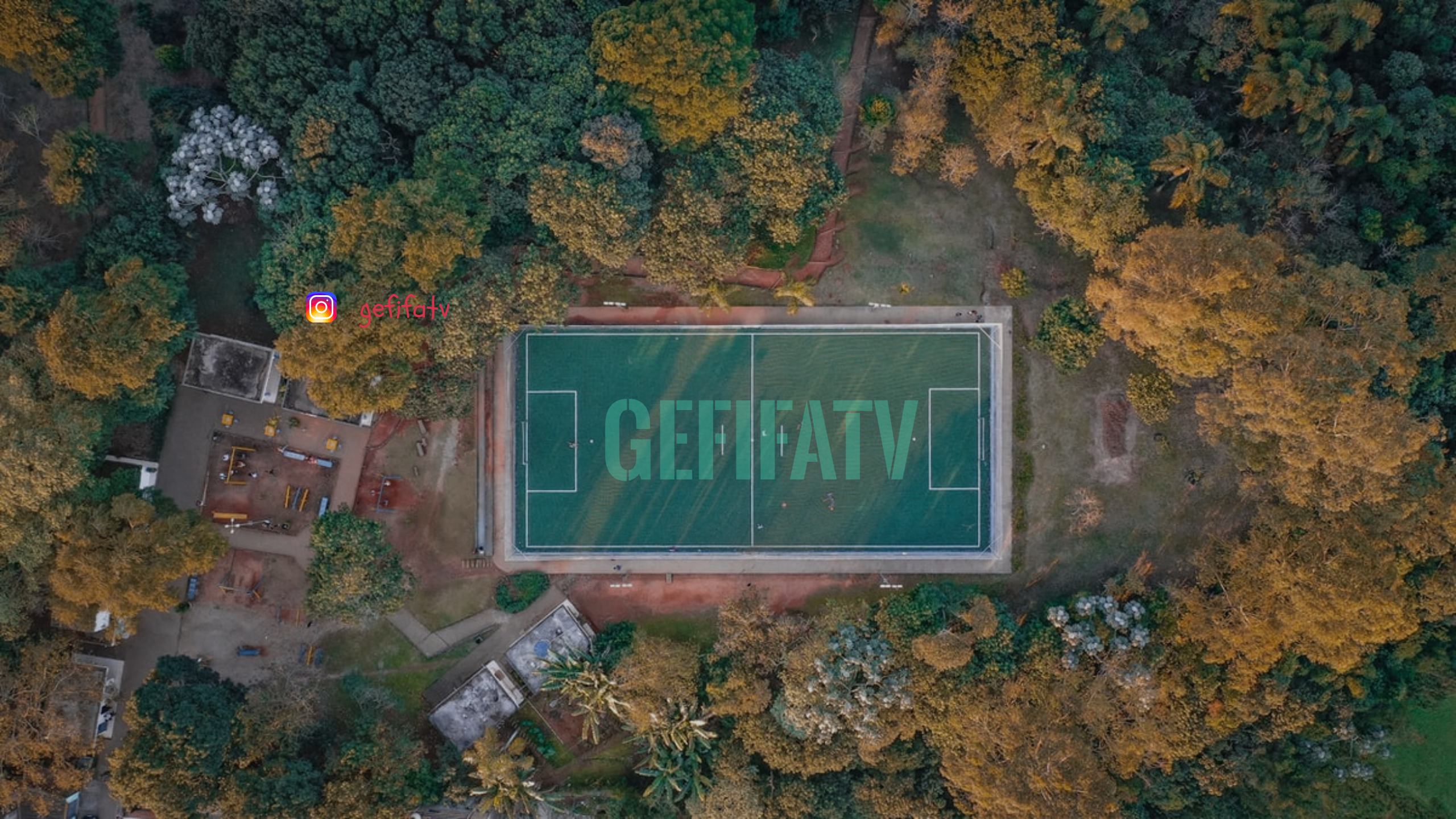 We Create Professional Logo,Banner,Videos,Cover.